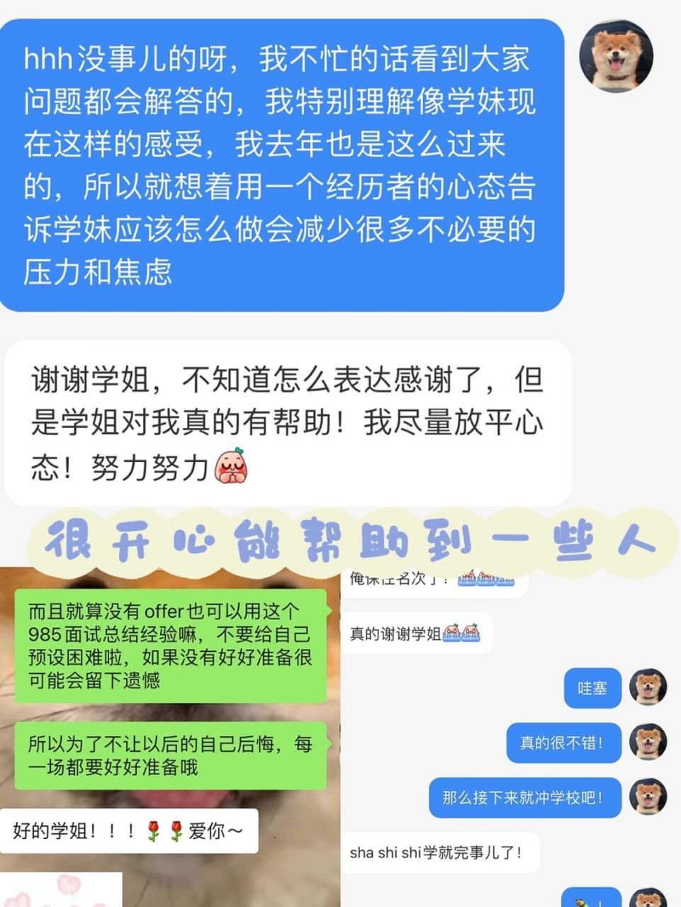 虽然是夏0营也没关系,预推免的机会真的很多 大家好,我是末流211无