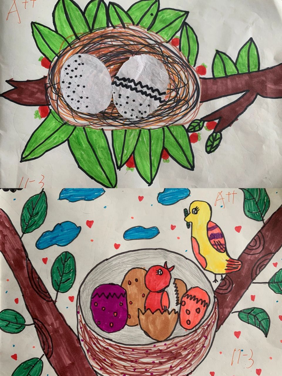 二年级美术画小鸟的家图片