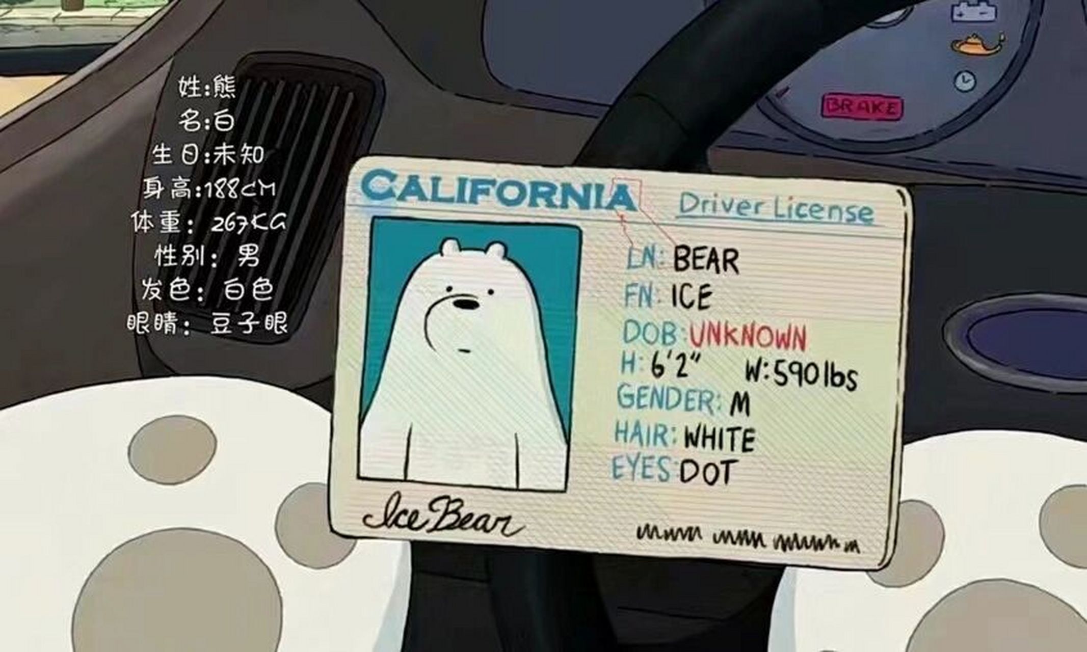 ice bear身高188!豆子眼哈哈哈 已经心动了