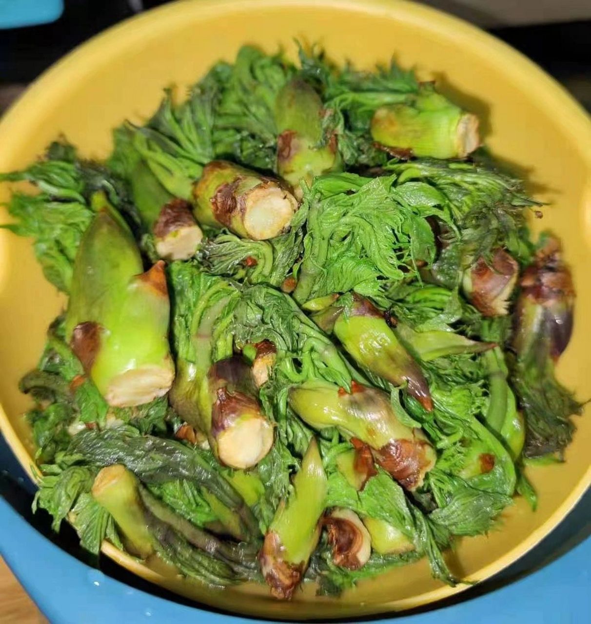 东北野生"刺嫩芽"不是香椿 买特别胖的体型,水煮～蘸酱,吃原生,不要跟