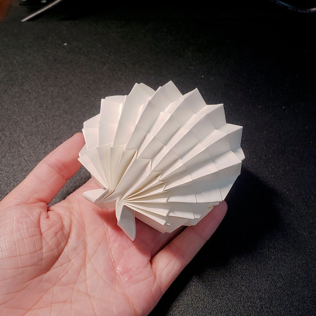 折纸贝壳 真蚌.