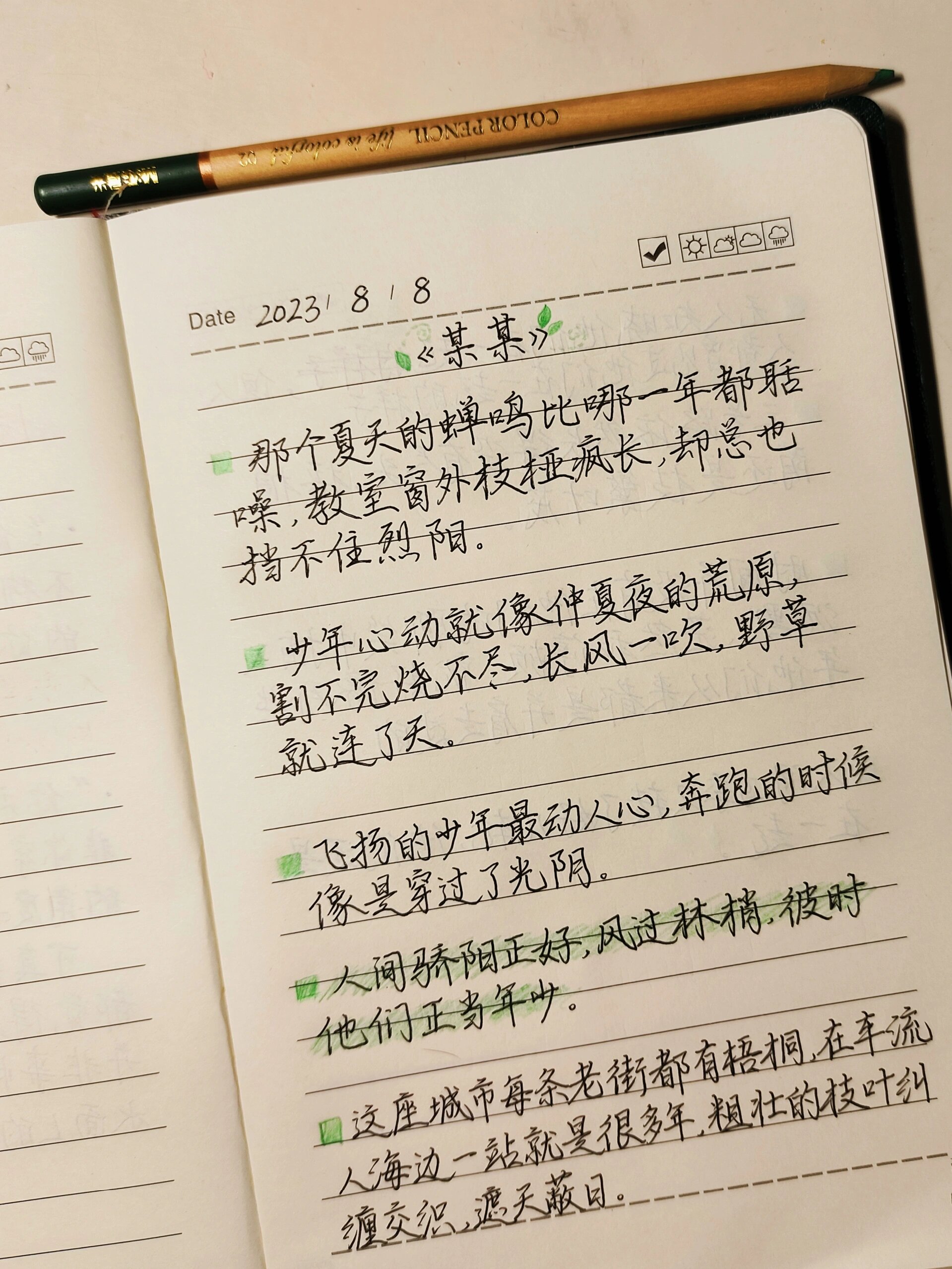 手写摘抄|致我们盛夏里的91《某某