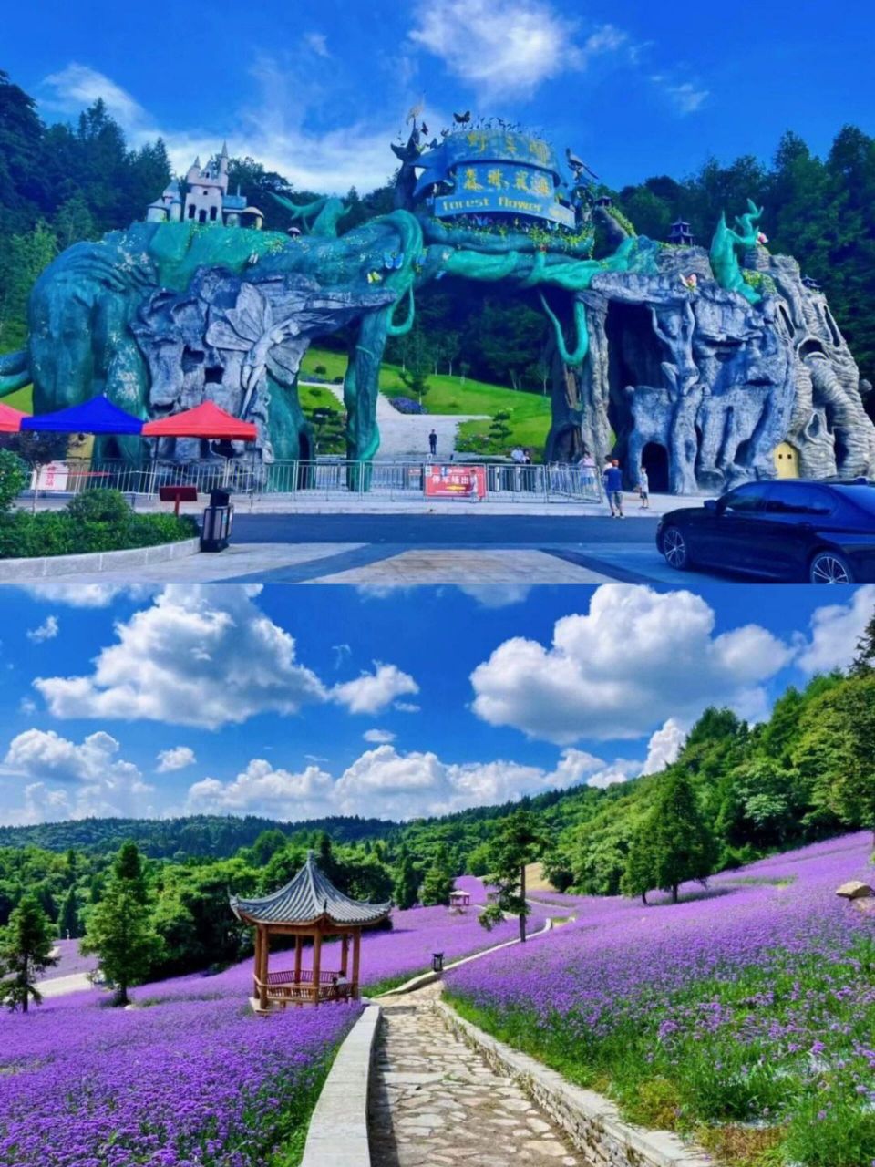 恩施旅游必打卡景点|恩施野三关森林花海 96野三关森林花海,避暑