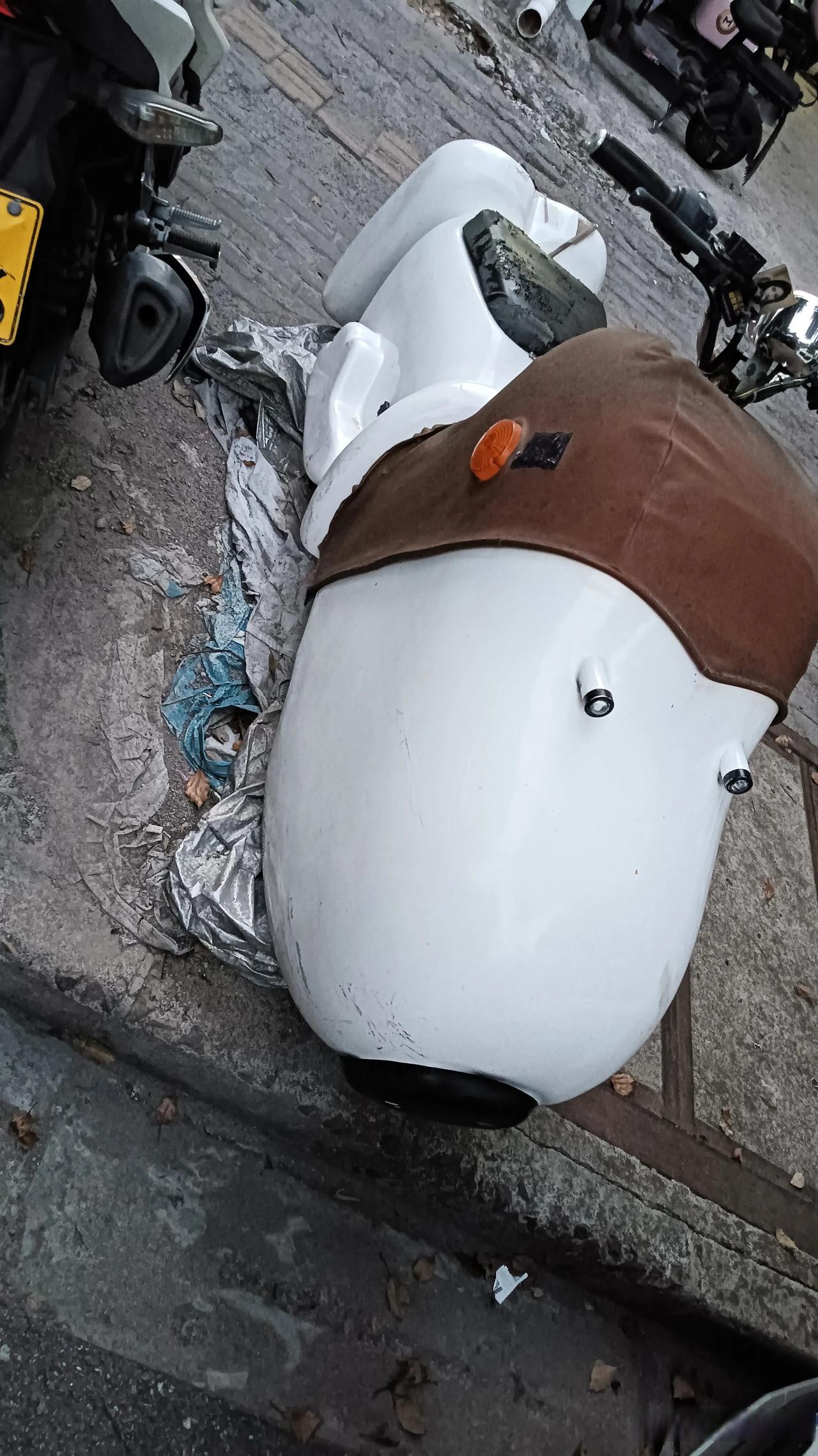 狗子电单车 谁电动车忘这了 开电瓶车的分享