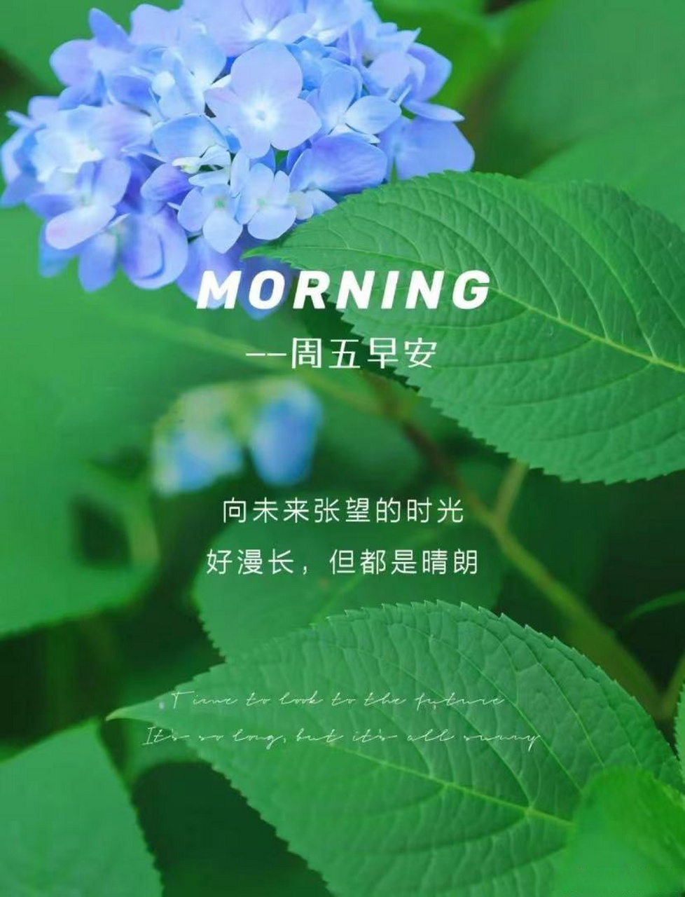 早安# 周五早安!