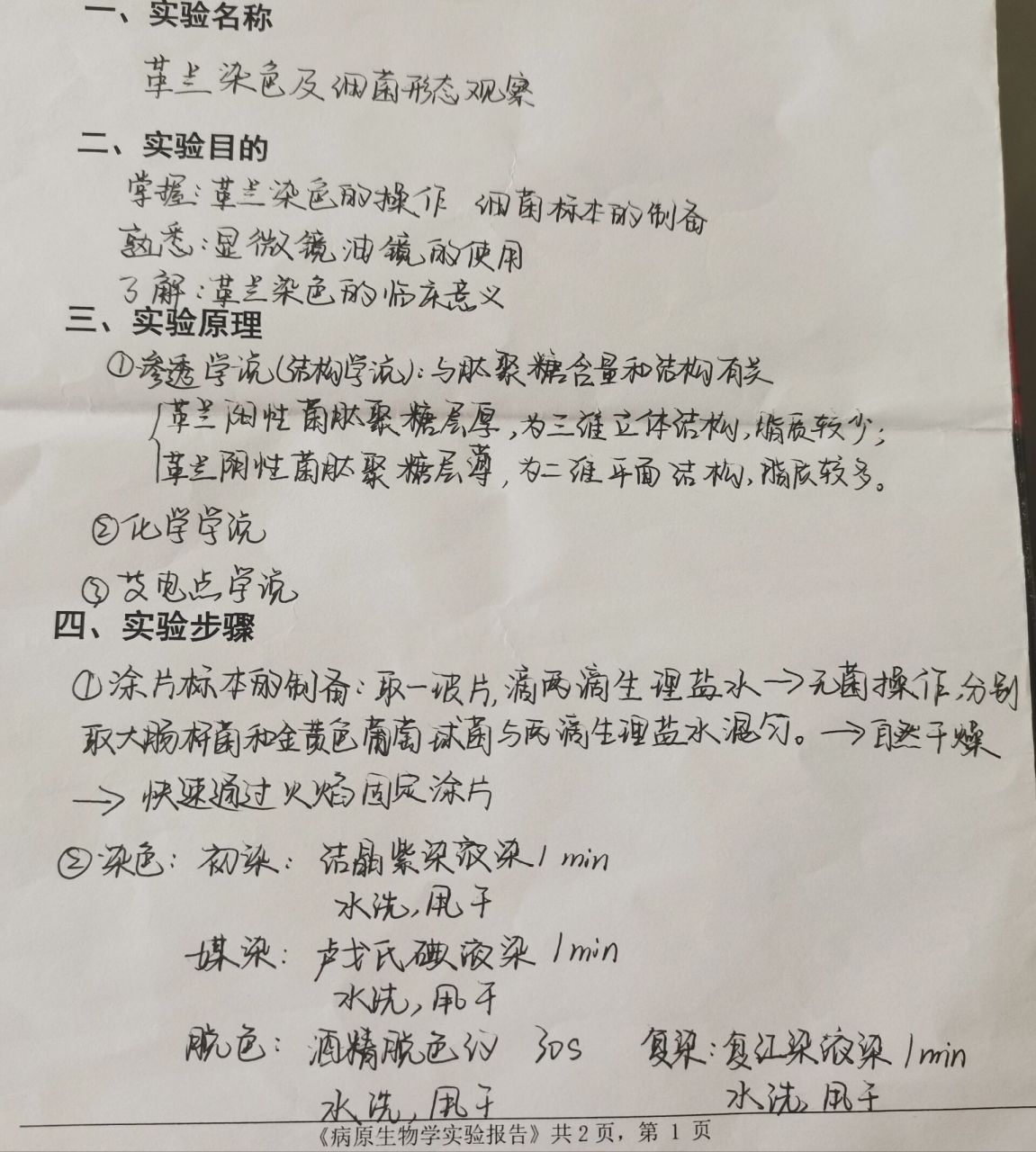 实验 革兰染色及细菌形态观察 消毒灭菌 药敏实验 抗酸染色 医学蠕虫