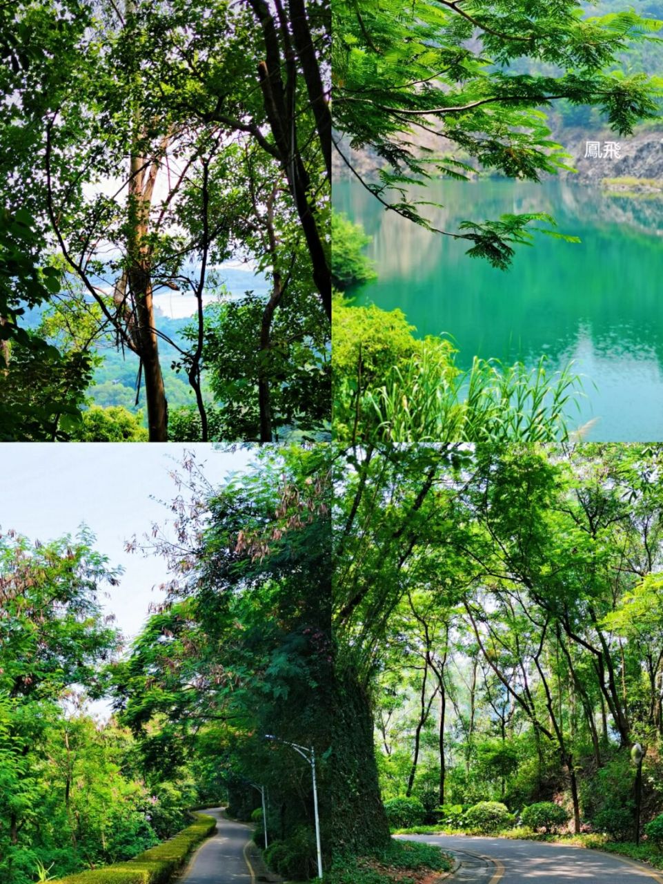 夏季不晒之深圳徒步登山(平峦山公园) (平峦山公园) 建在西乡街道桃源