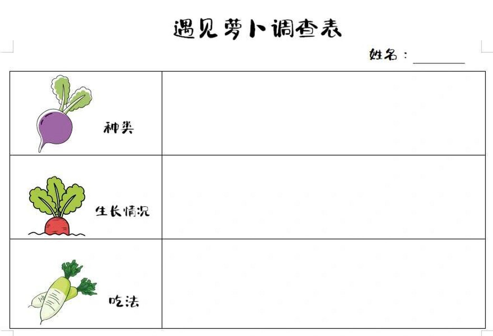 我想种的蔬菜调查表图片