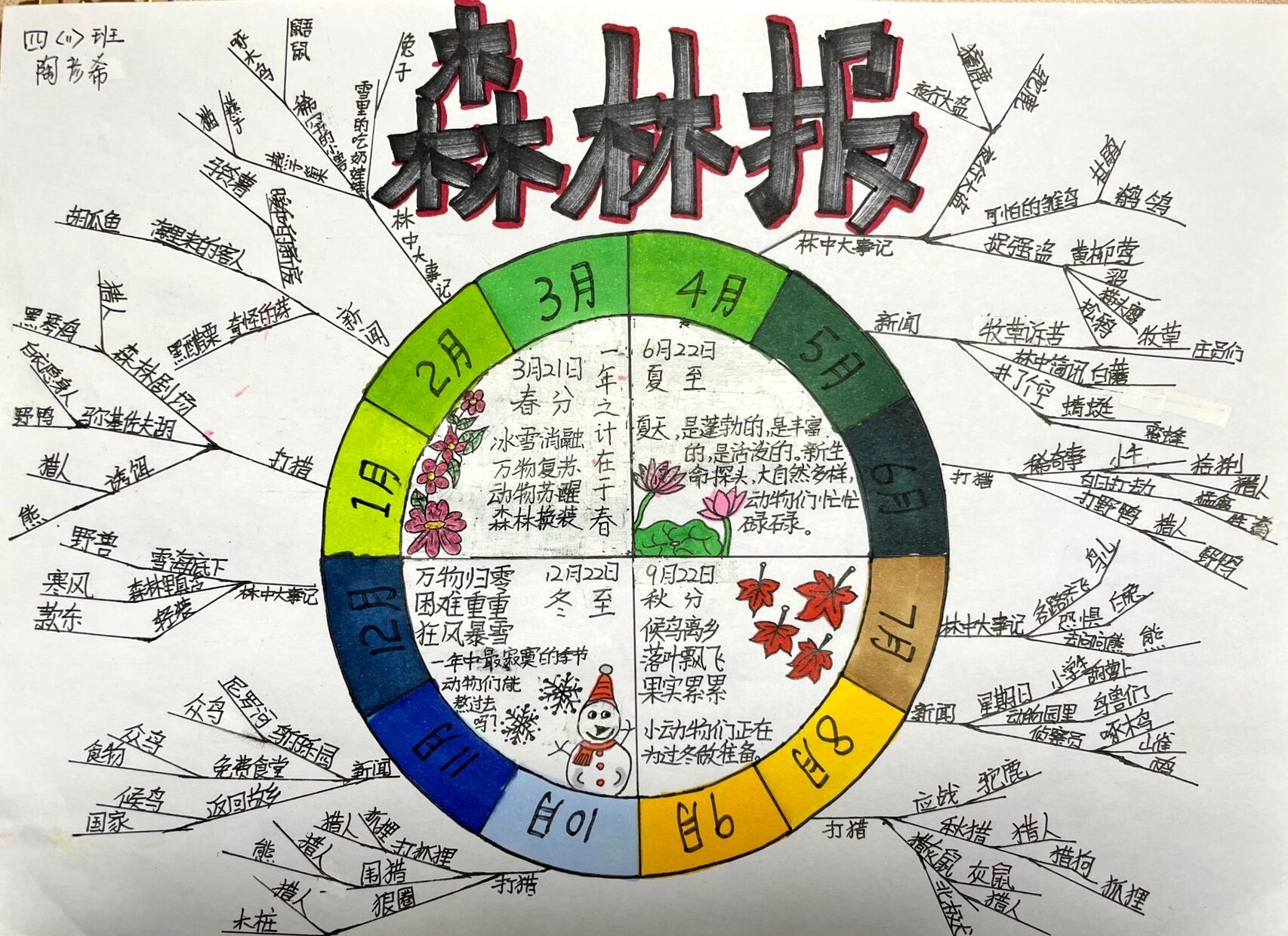 森林报思维导图