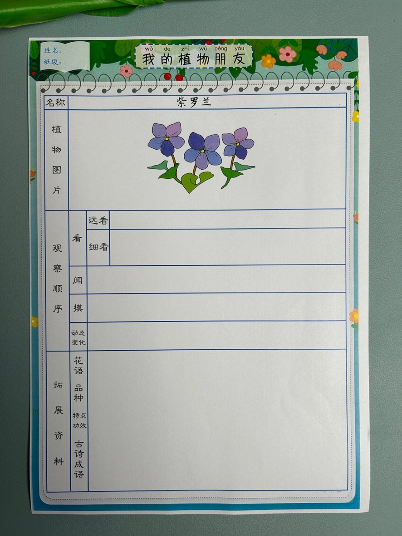 写一份植物观察记录卡(植物观察记录卡作文300字)