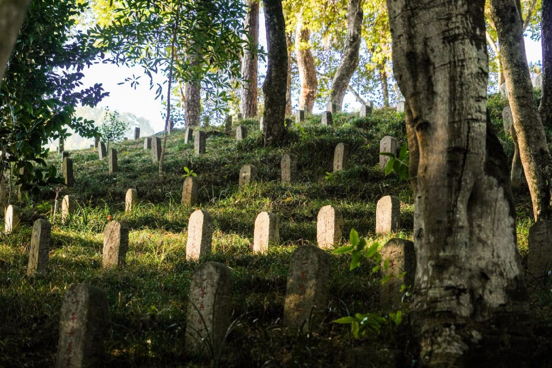 云南·腾冲国殇墓园 国殇墓园 	 是这次云南之行中,最值得去亲自感受