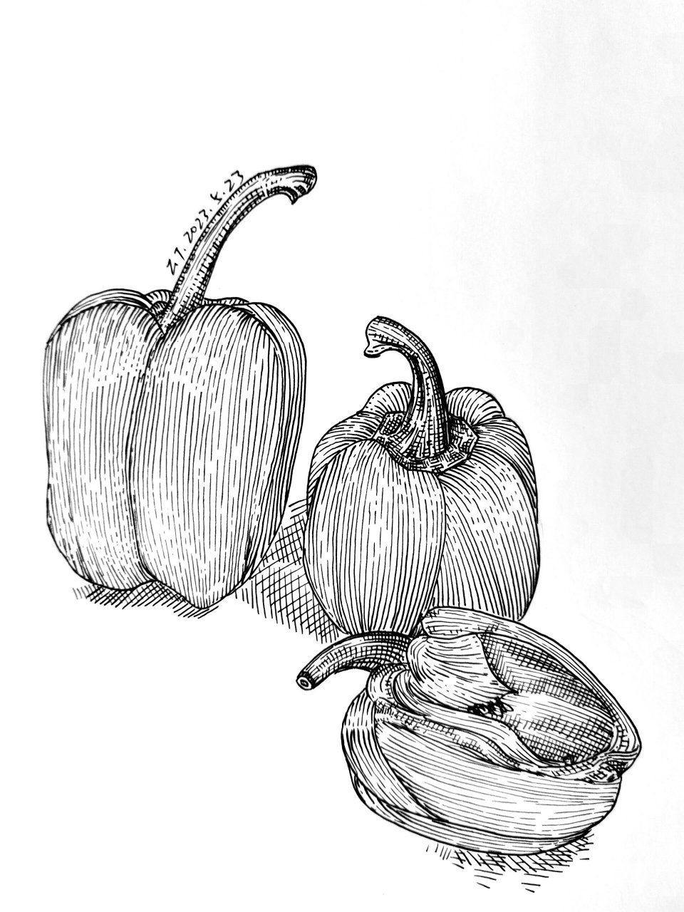 206彩椒,附步骤图和原图,每日一画 1,用铅笔画出轮廓,然后简单带一下