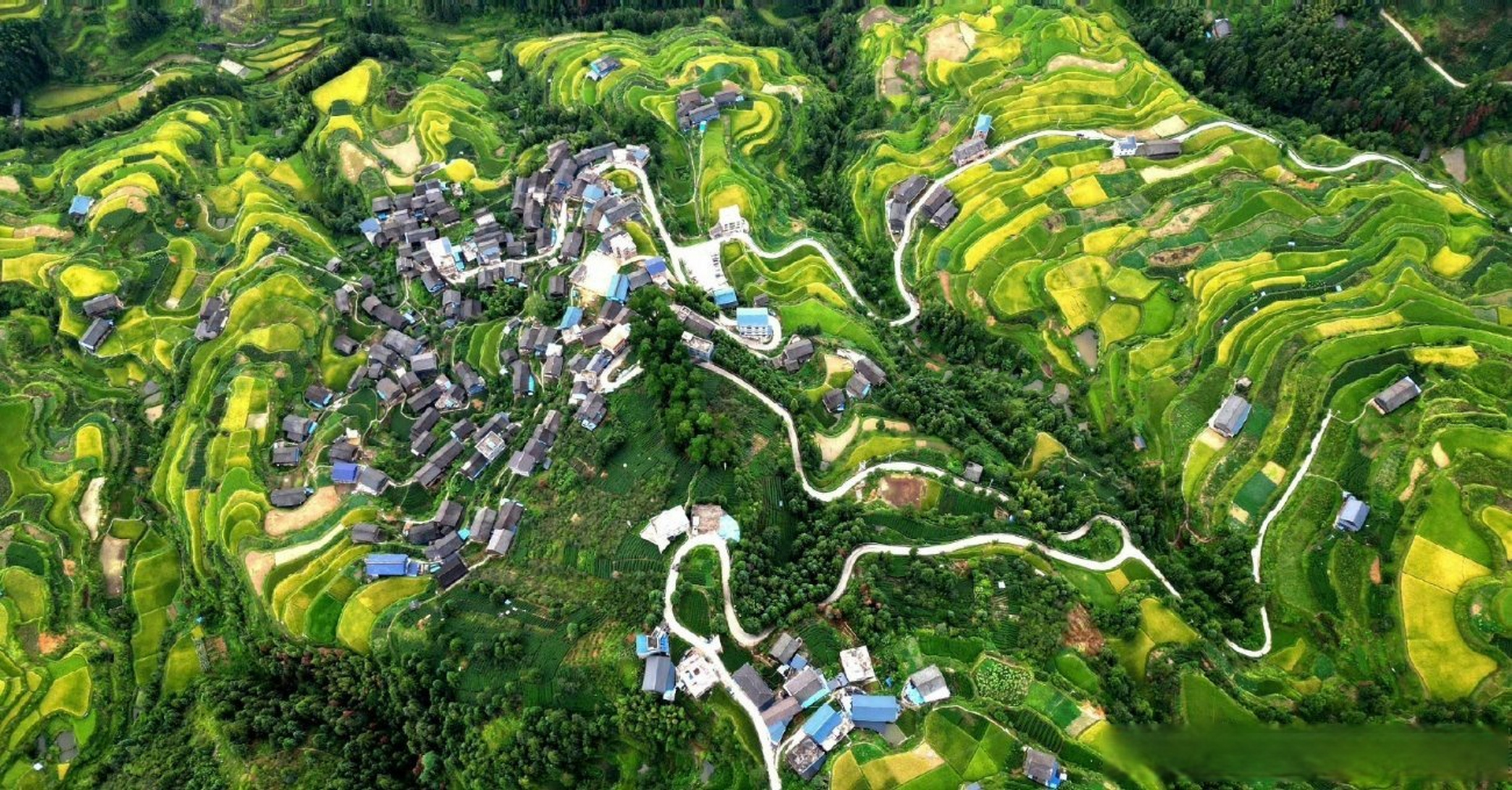 南小团##广西梯田一眼治愈强迫症# 秋色正浓,广西三江县独峒镇的高山