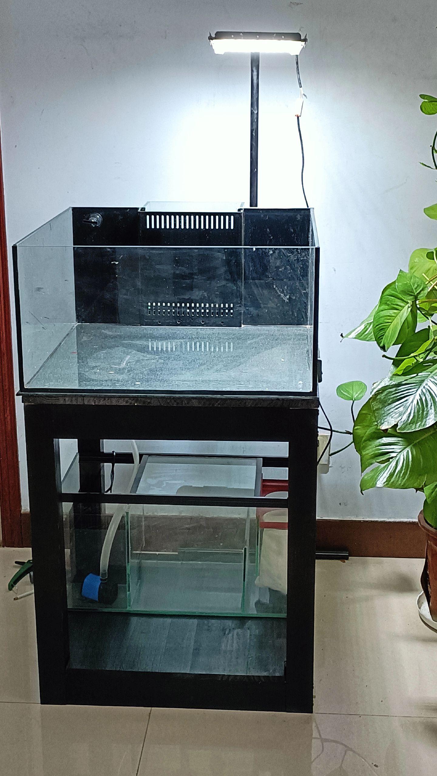 强过滤60原生方缸45x45x45背滤方缸低滤缸50x50x40背滤溪流缸底滤鱼缸