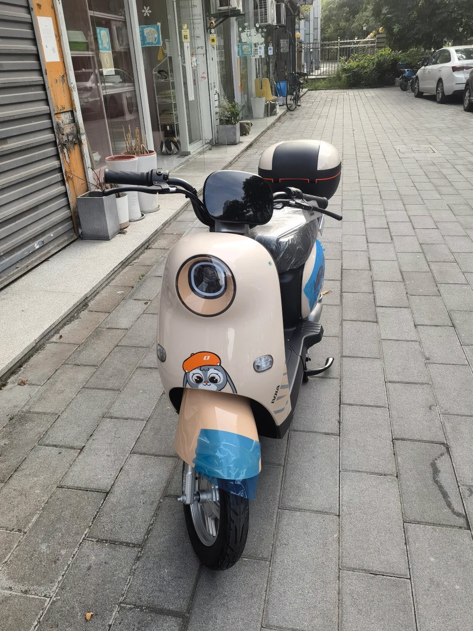 绿佳电动车长续航国标电动车 配48v20安大电池.