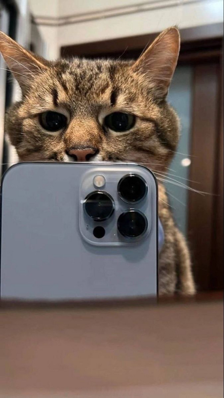 《精神小伙儿自拍》