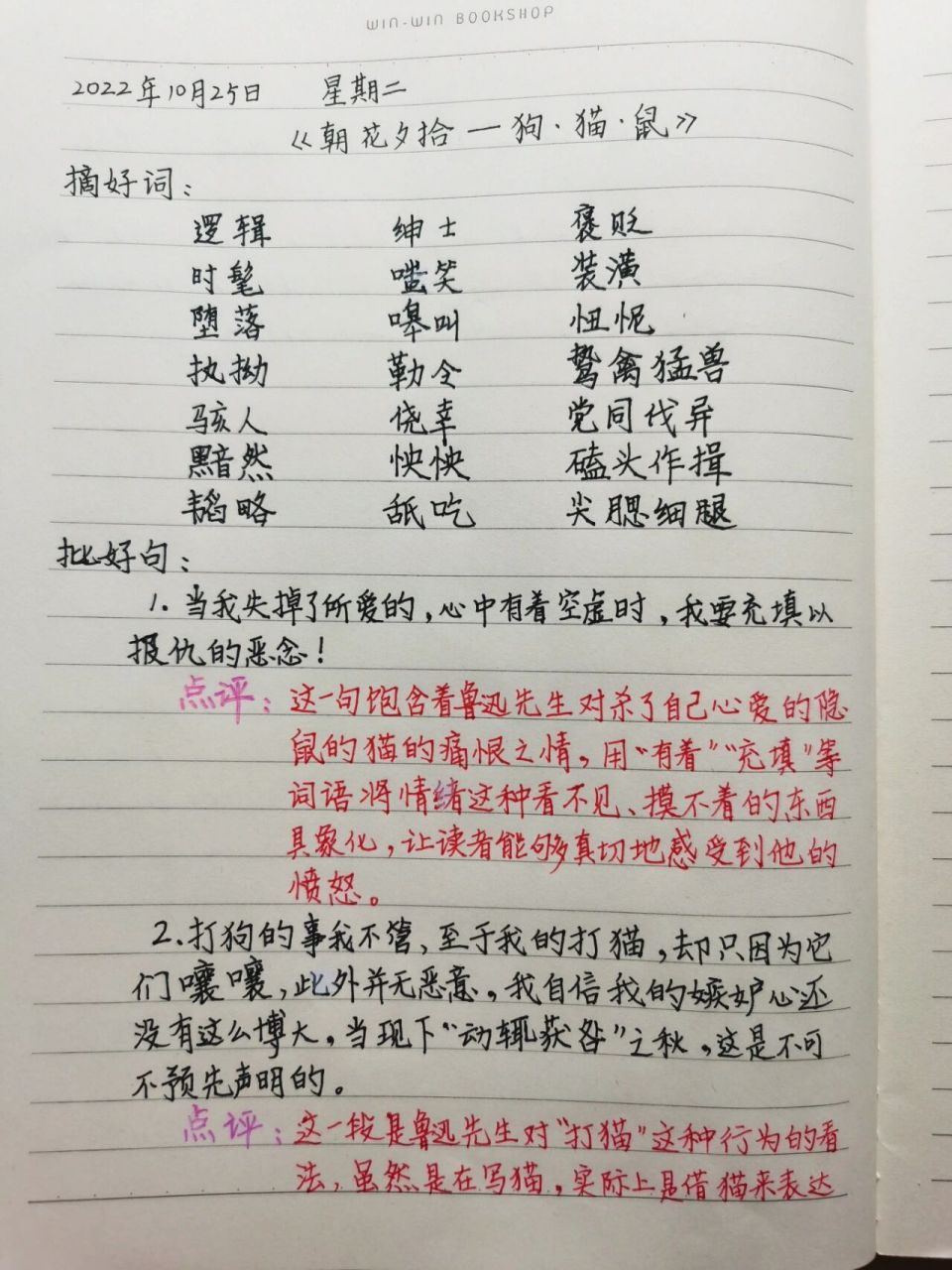 初中名著《朝花夕拾》手写摘抄② 内容:《朝花夕拾》之《狗·猫·鼠》