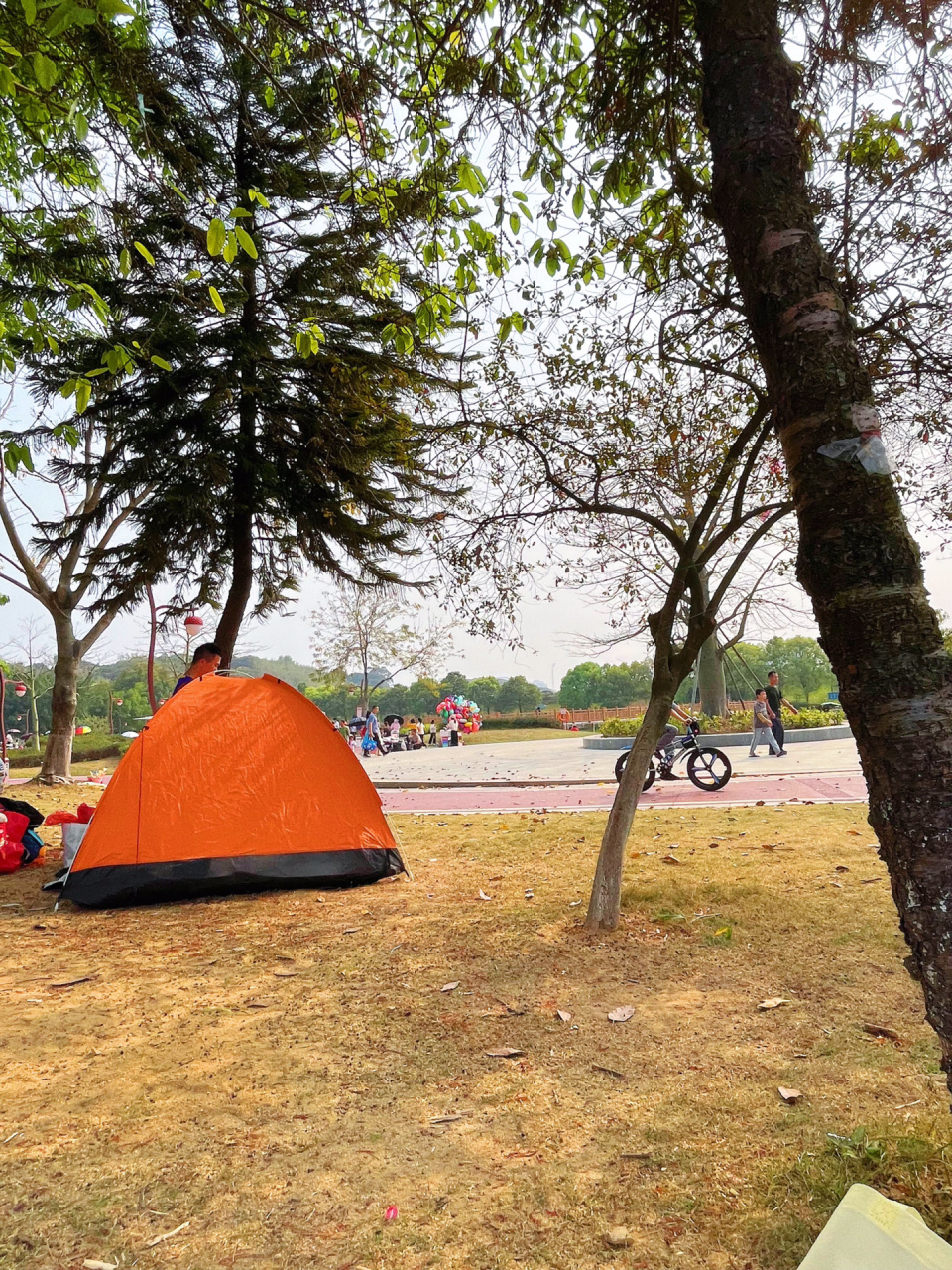 周末溜娃|增城人工沙滩篇# 7815周末和小姐妹们约好一起去野餐