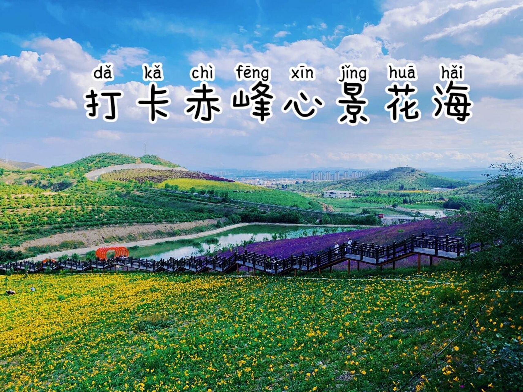 赤峰花海景区图片
