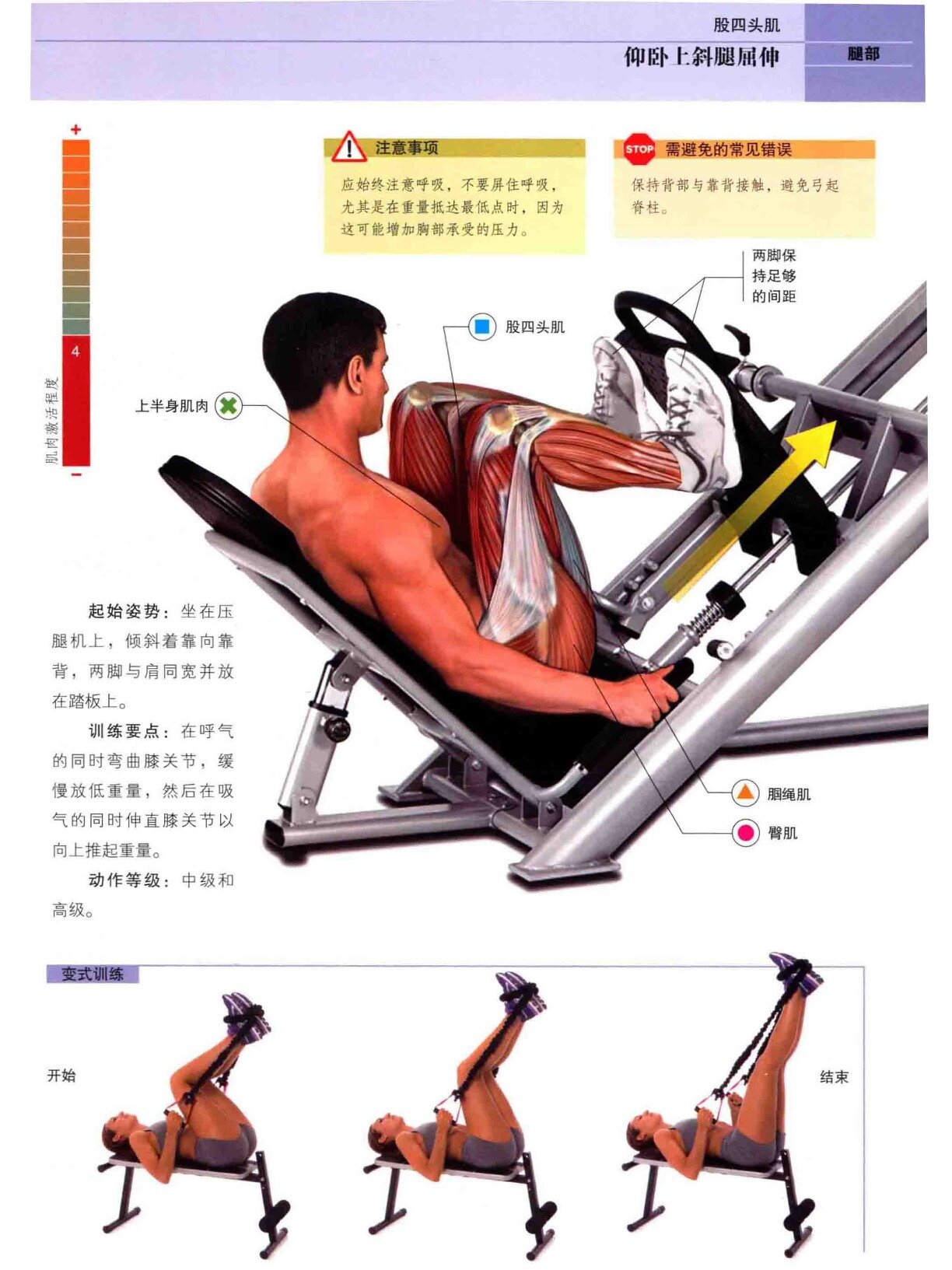 离心肌肉力量训练图片