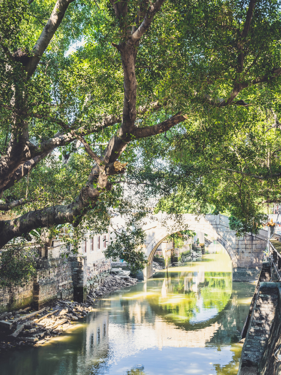 闲逛复古文艺的百年人文老街,伦教678文化街 佛山摄影丨伦教678文化街
