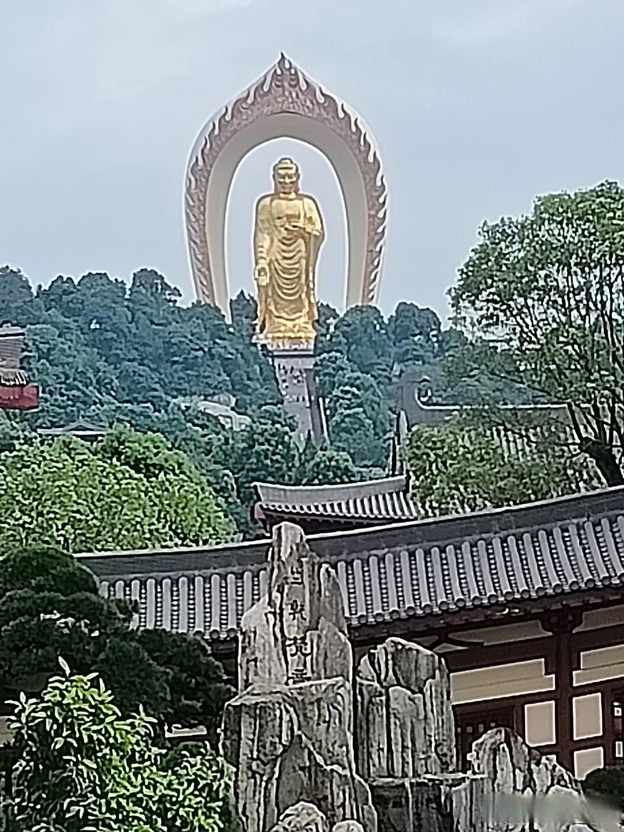 东林大佛雄伟壮观,位于江西九江庐山脚下东林寺,大佛是一座48米高的