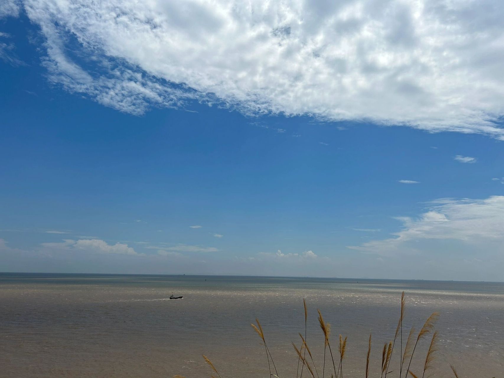 上海周边游|去很多次都不会腻的大洋山岛 在上海只有一天时间,想爬山