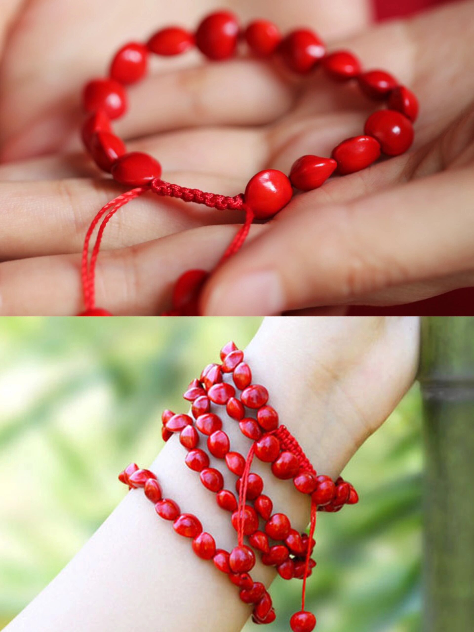 上手超显白的相思豆❗❗显少人知道她的寓意✨