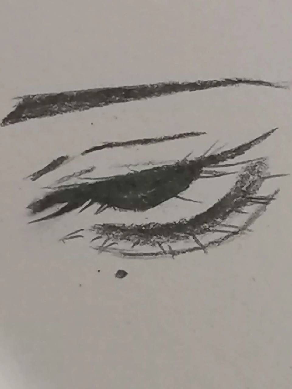 浅发一个厌世眼教程     还是接图一步一步画,最后加上眉毛和细节就