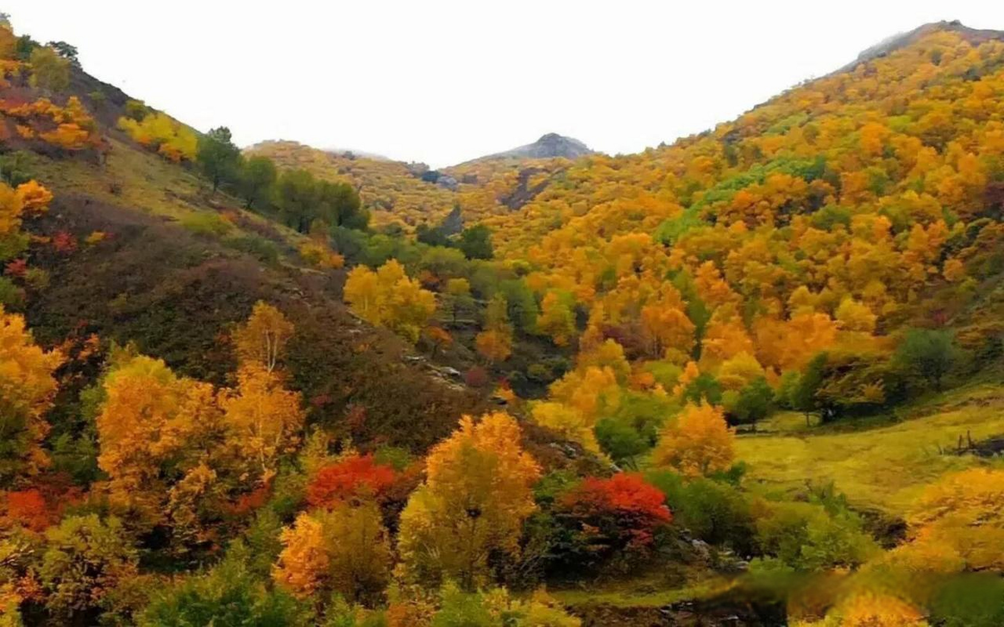 呼和浩特头条 国庆去哪儿 九龙湾位于内蒙古乌兰察布市卓资县西北部