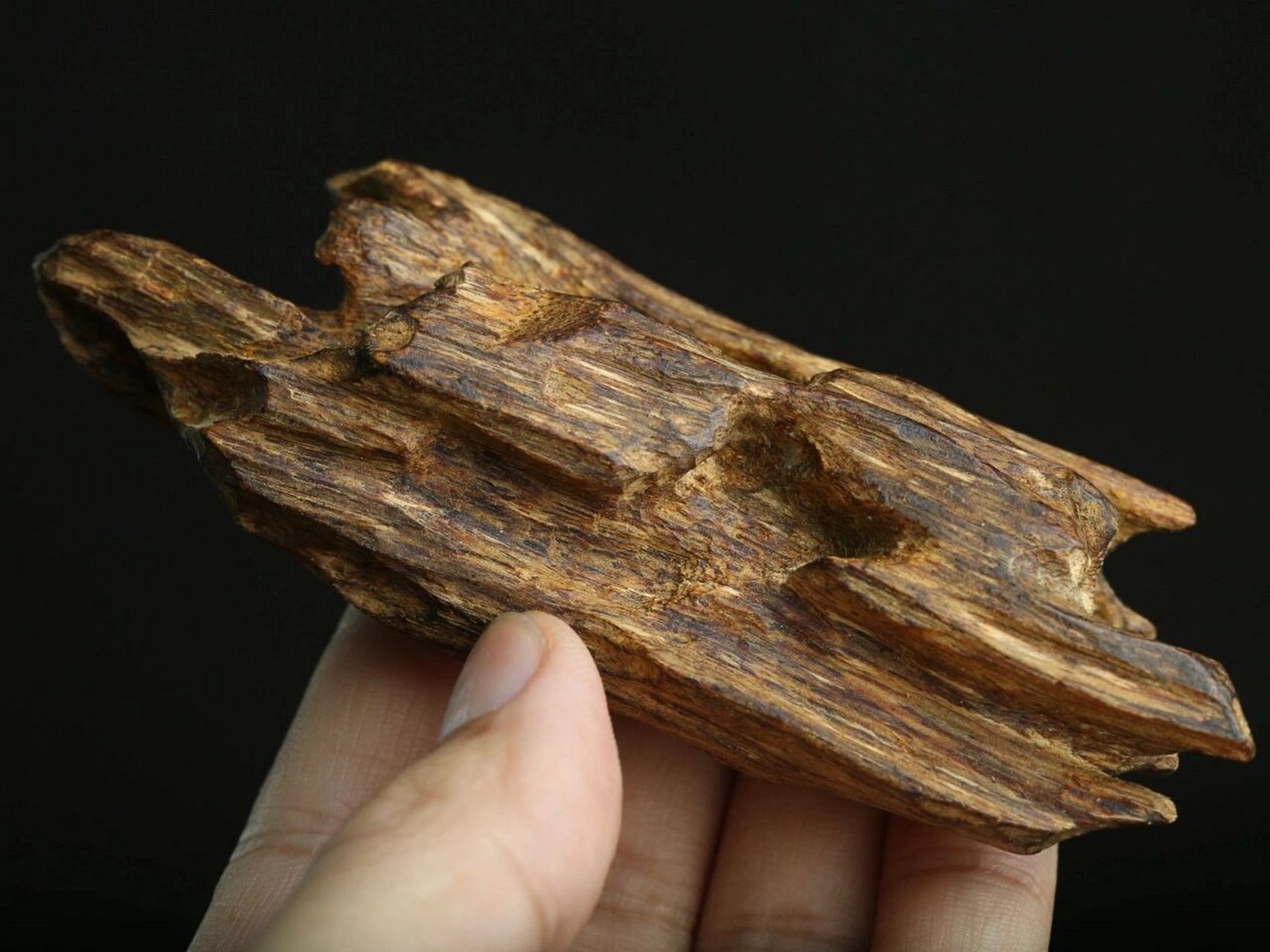 顶级奇楠沉香,真是可遇不可求90 奇楠之珍贵,不仅是香道闻香之极品