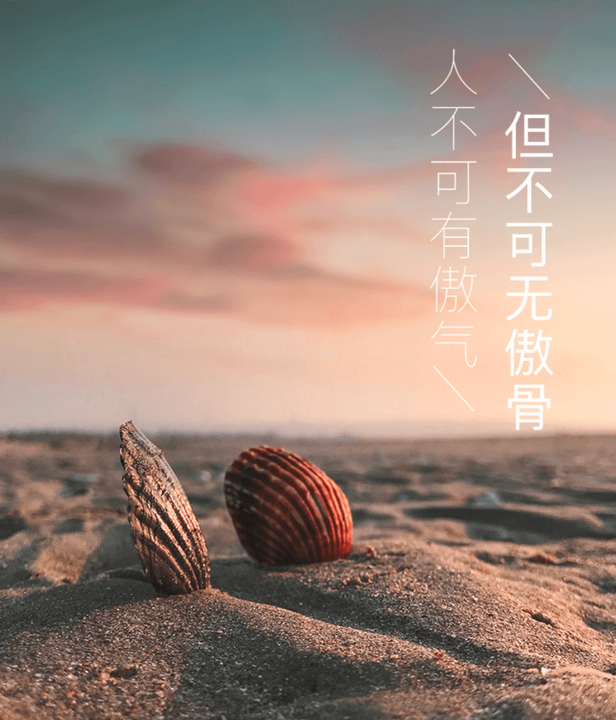 人不可有傲气, 但不可无傲骨