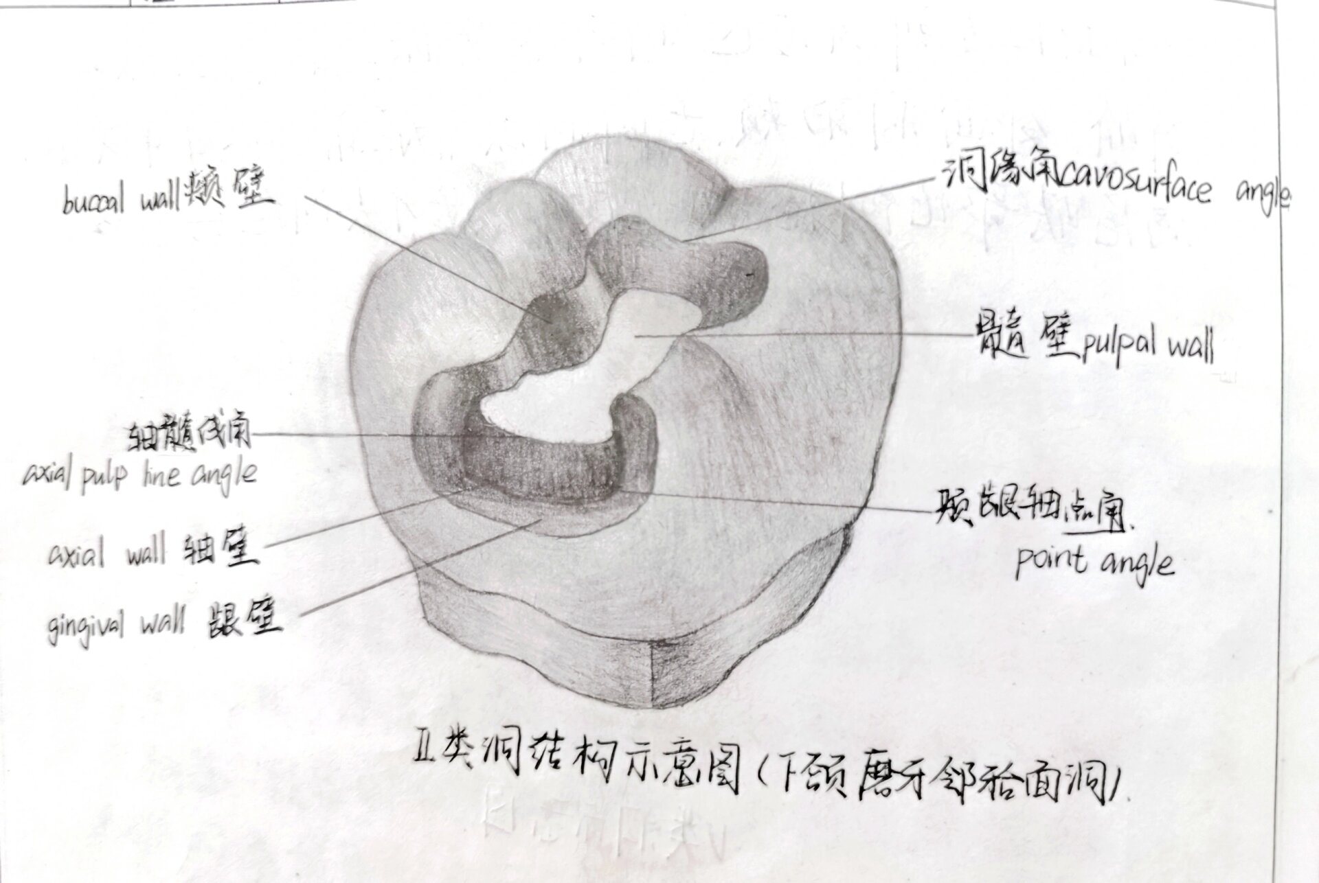 二类洞画图图片