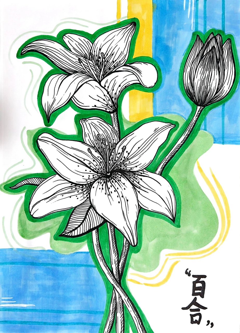 百合花教程 快来一起画美丽的百合花吧