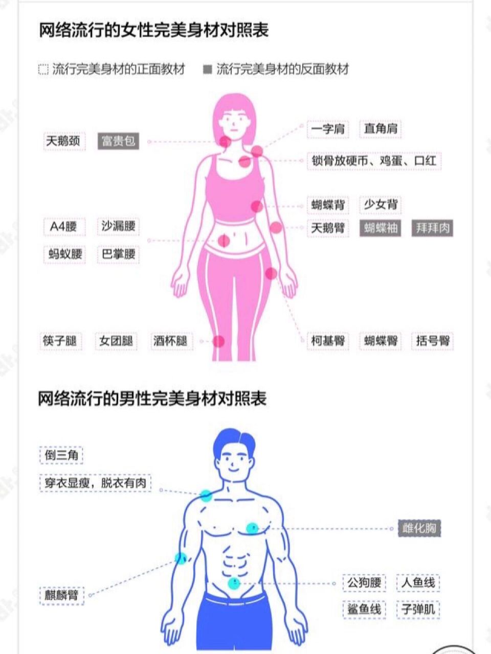 男女完美身材对照表!拥有好身材很重要