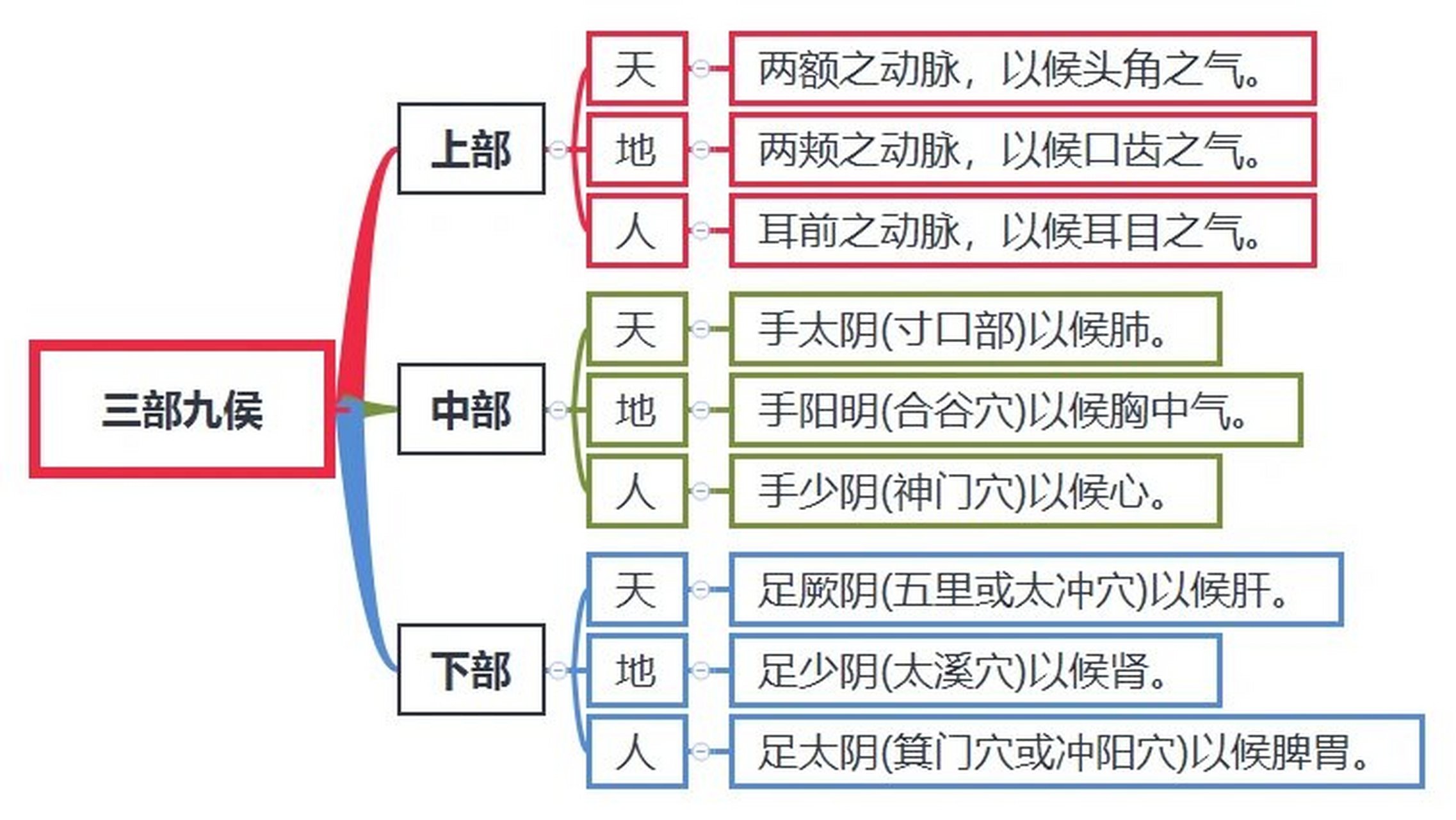 绌脉图片