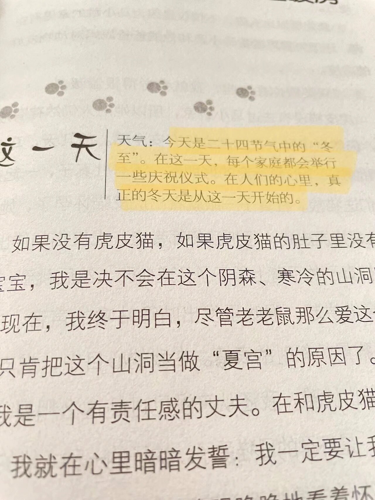 笑猫日记虎皮猫生孩子图片