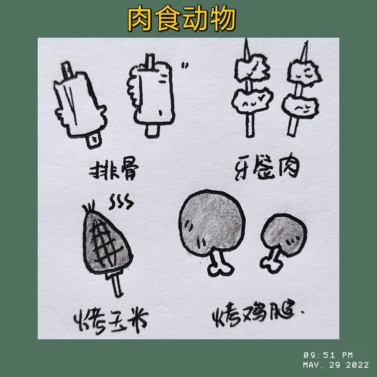 简笔画每日打卡61‖肉食动物 排骨,牙签肉,烤鸡腿,烤玉米……肉食动物