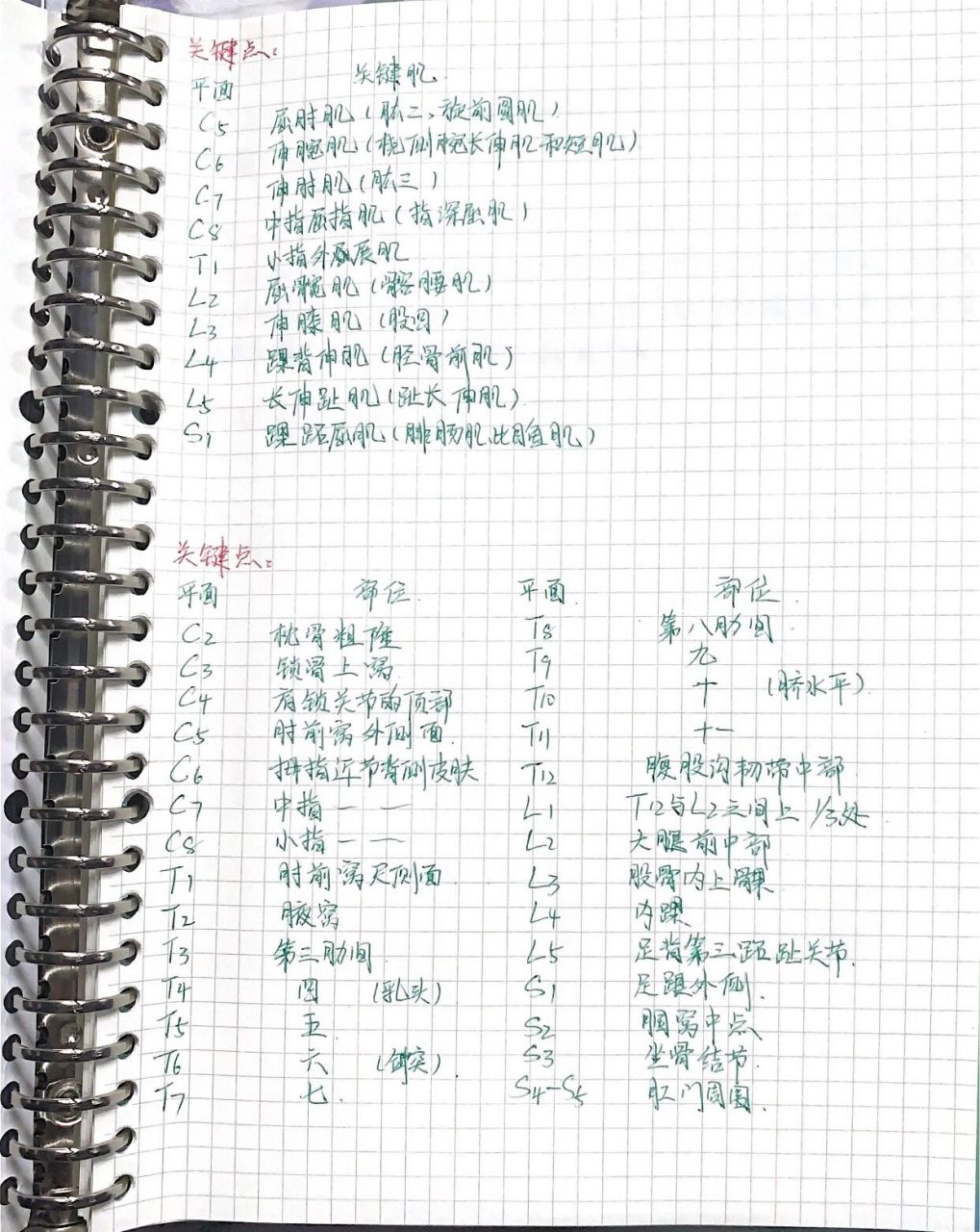 10组关键肌和28个感觉关键点