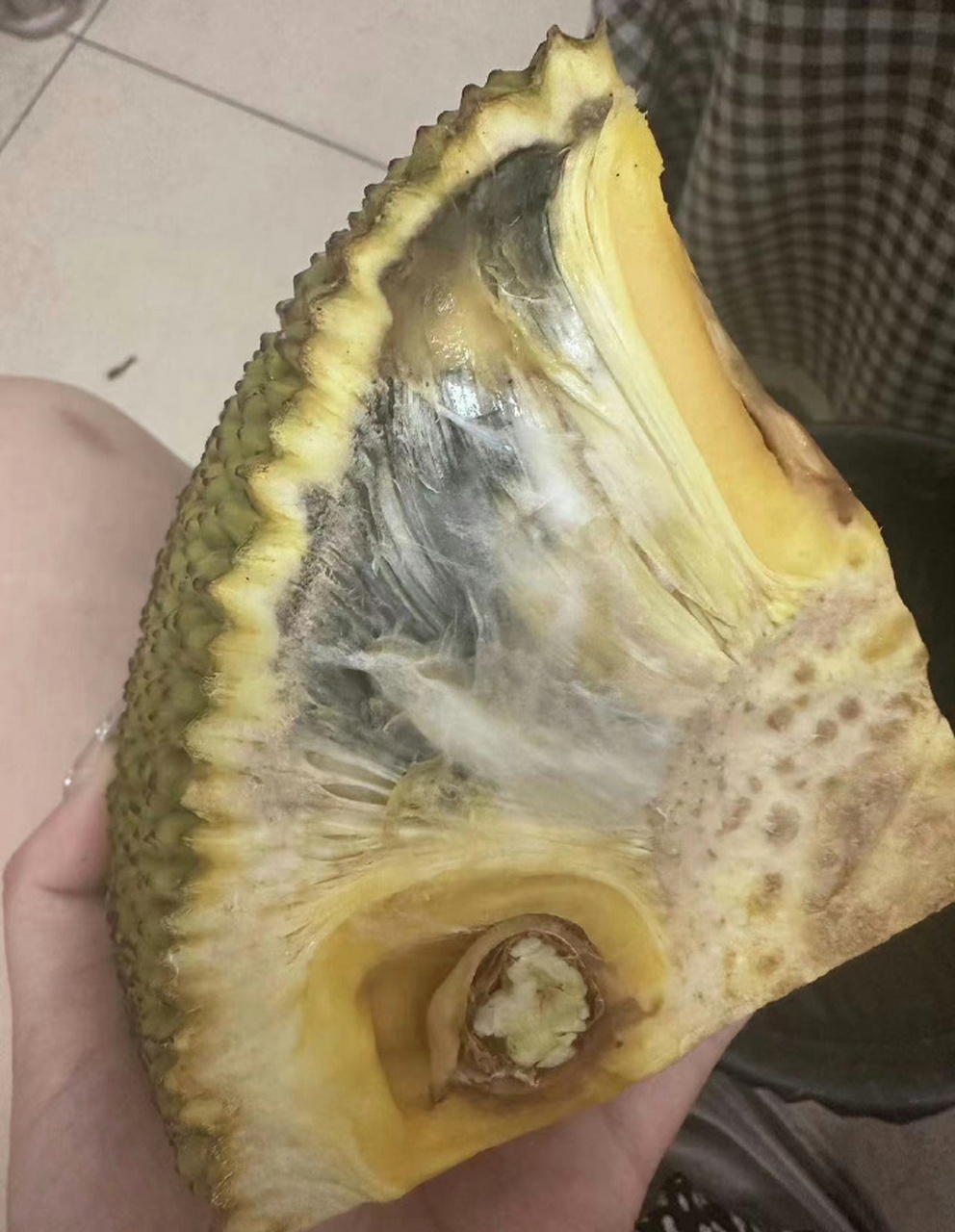济宁#【济宁利客购物体育馆店菠萝蜜变质发臭】