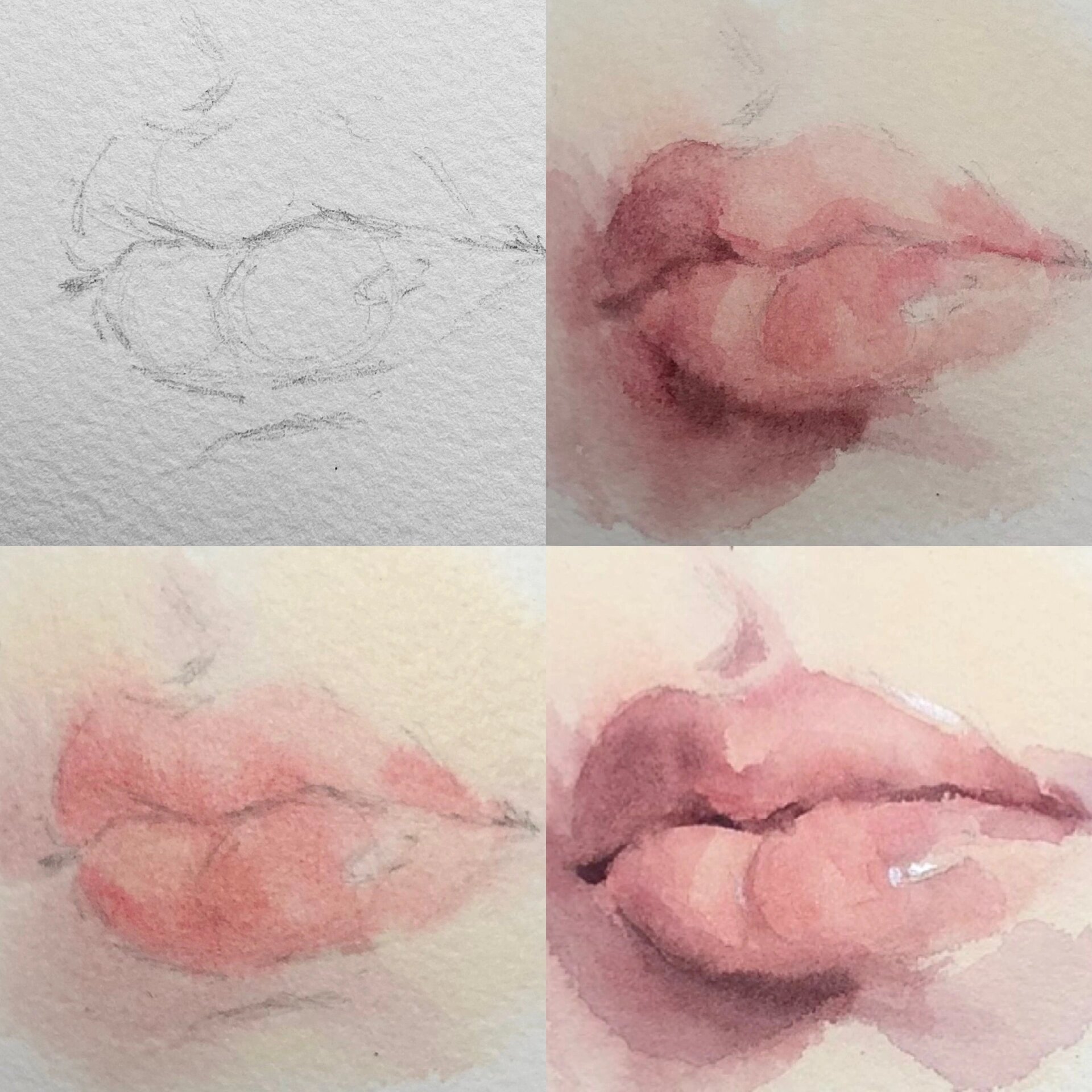 一定要看完给大家整理的水彩嘴巴重点