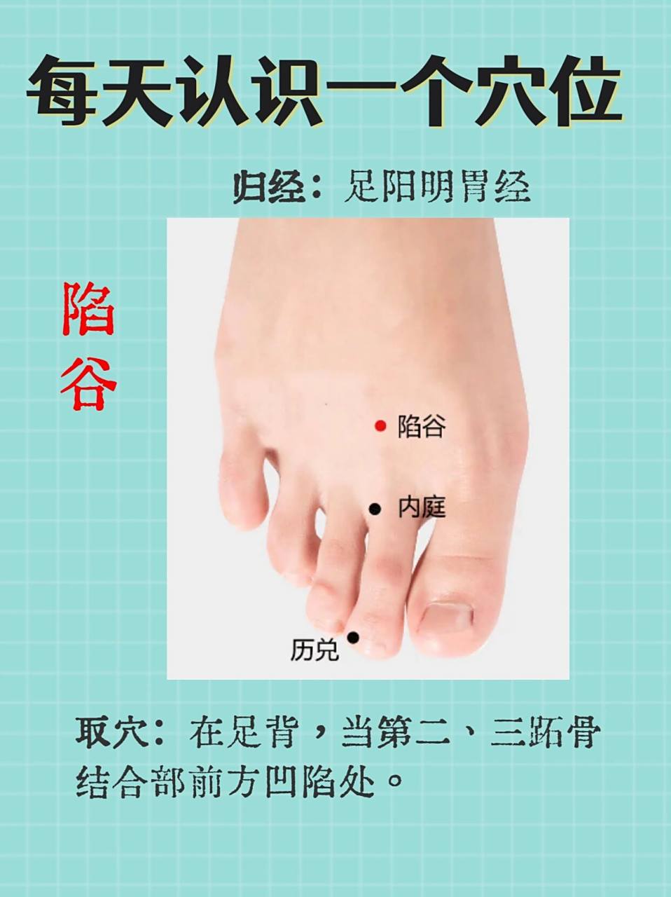 每天认识一个穴位-陷谷