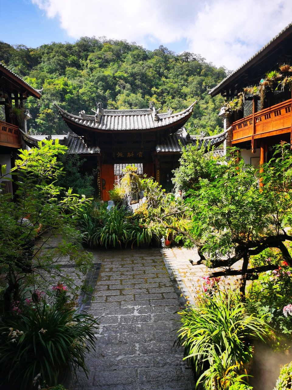 广南六郎城 一个依托石斛种植,农文旅融合创新发展的乡村