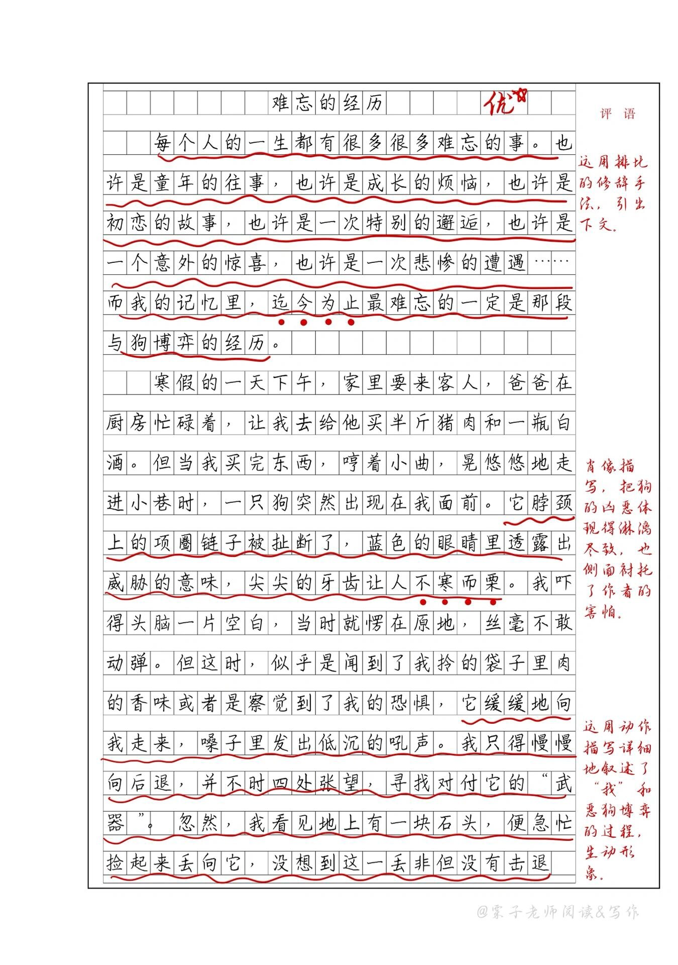 700字优秀作文加批注