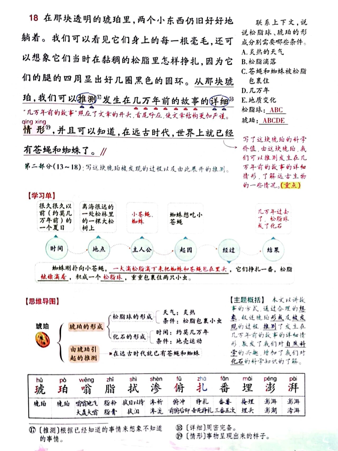 四年级下册第五课《琥珀》笔记 四年级下册语文第五课《琥珀》预习