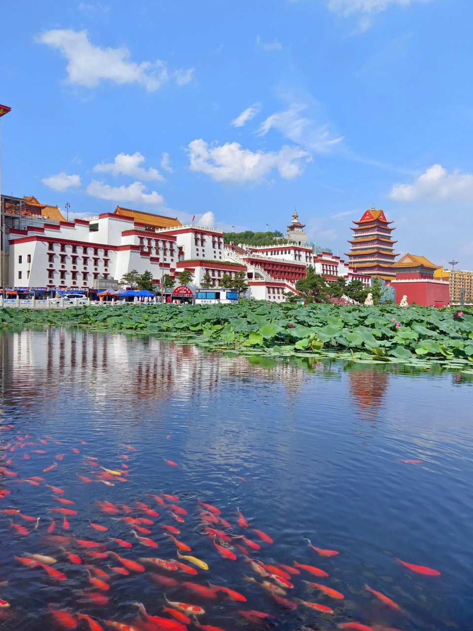 分享手机里一张好看的照片锦州头条 辽西九华山