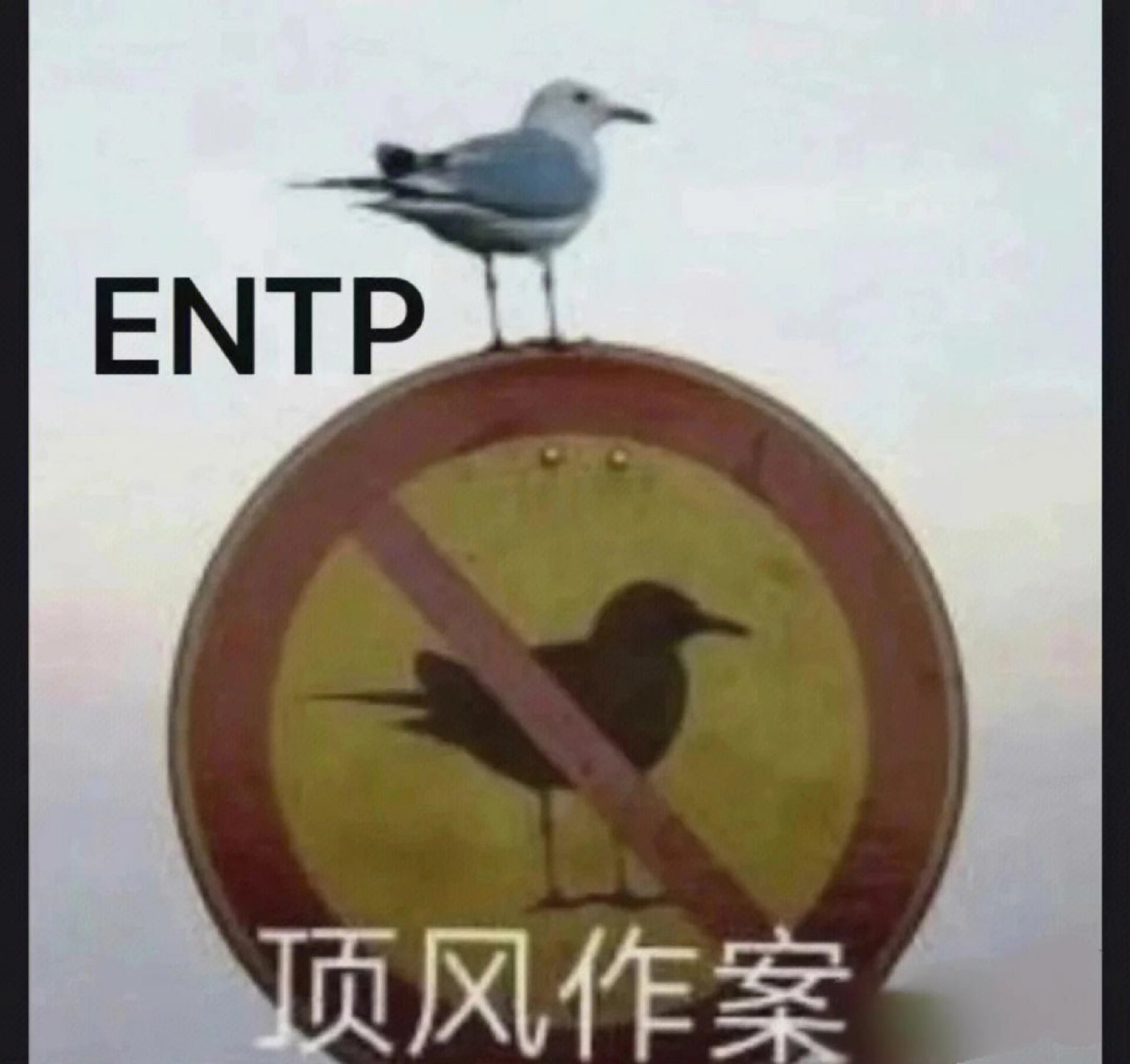 entp表情包图片