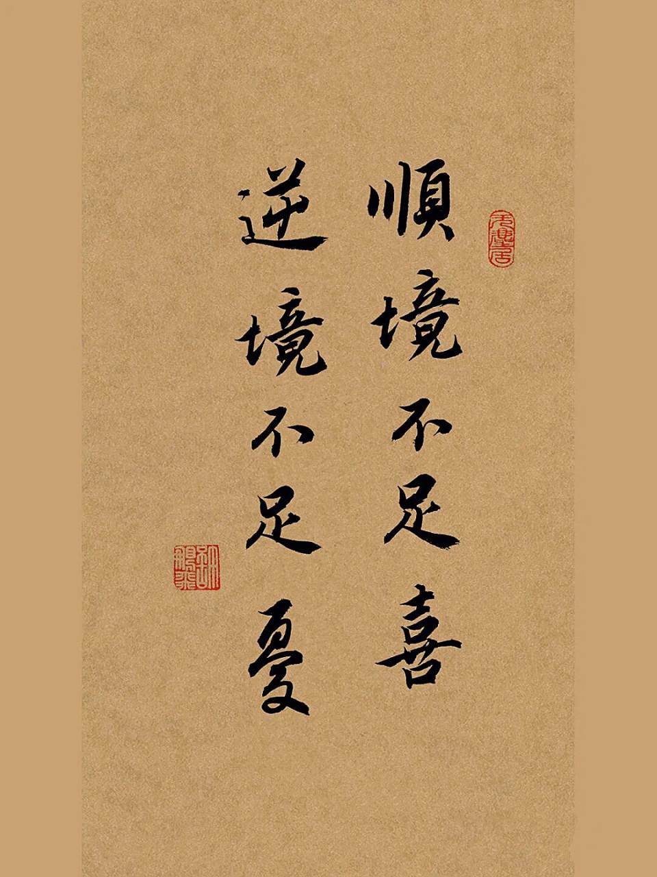 手写行书行书书法|顺境不足喜,逆境不足忧 #我的书法分享# #笔记灵感