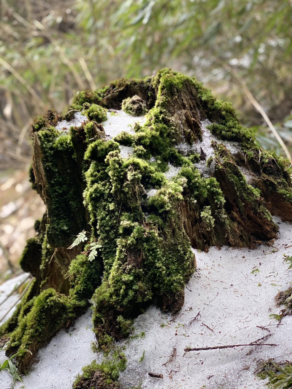 彭州天台山图片