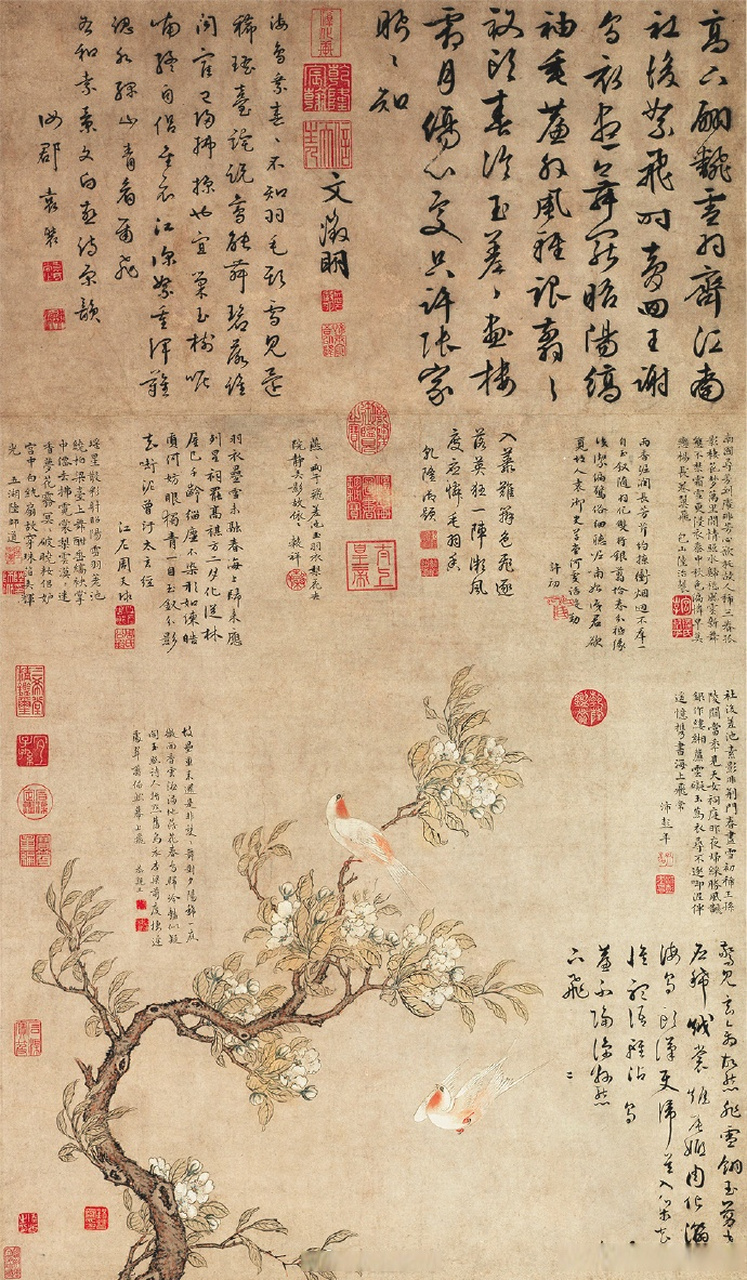 這幅花鳥畫上字比畫多#【#400多年前的春分圖景有多美#】明代畫技 